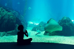 Lisbonne oceanarium