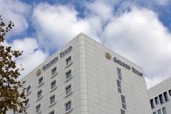 Golden Tulip