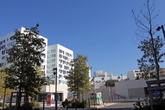 Place Henri Verneuil