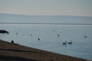 Plage des Marettes