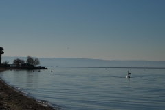 Plage des Marettes en hiver