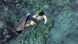 snorkeling Polynésie française