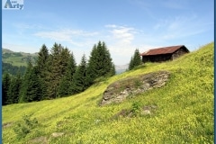 Alpages Praz Sur Arly