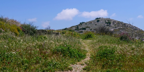 Col de la Gineste Marseille 28