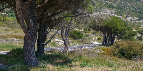 Col de la Gineste Marseille 31