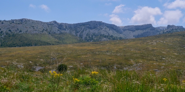 Col de la Gineste Marseille 36