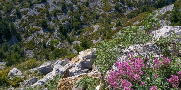 Col de la Gineste Marseille Cassis-49