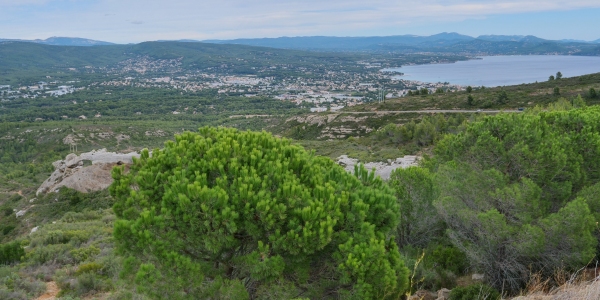cretes2019-29