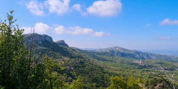 cretes2019-4