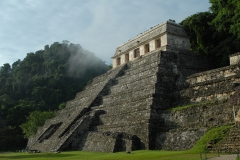 Maya