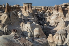 bisti mexique