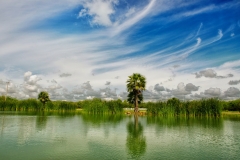 paysage Mexique