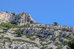 P1002644