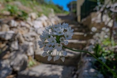 P1002702