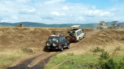 safari Tanzanie