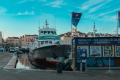 P1001541