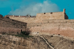 P1001779