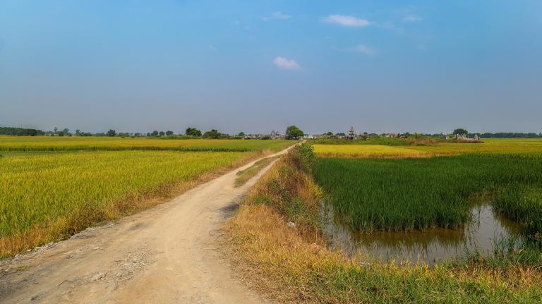 Thua Thien : Perle Culturelle et Naturelle du Viêtnam