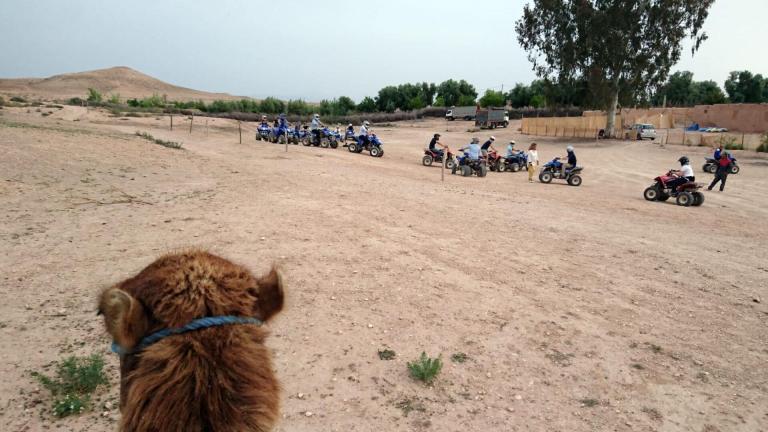Expérience Unique, découvrez l&rsquo;aventure ultime à dos de chameau, en 4×4 et en quad dans le désert d&rsquo;Agafay près de Marrakech !