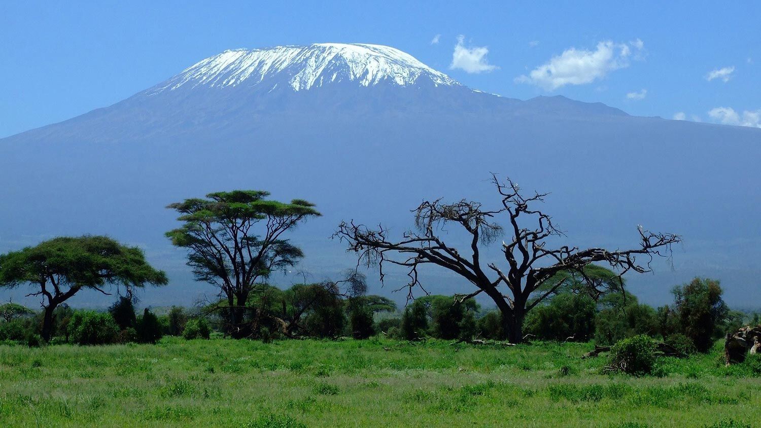 Kilimandjaro Tanzanie