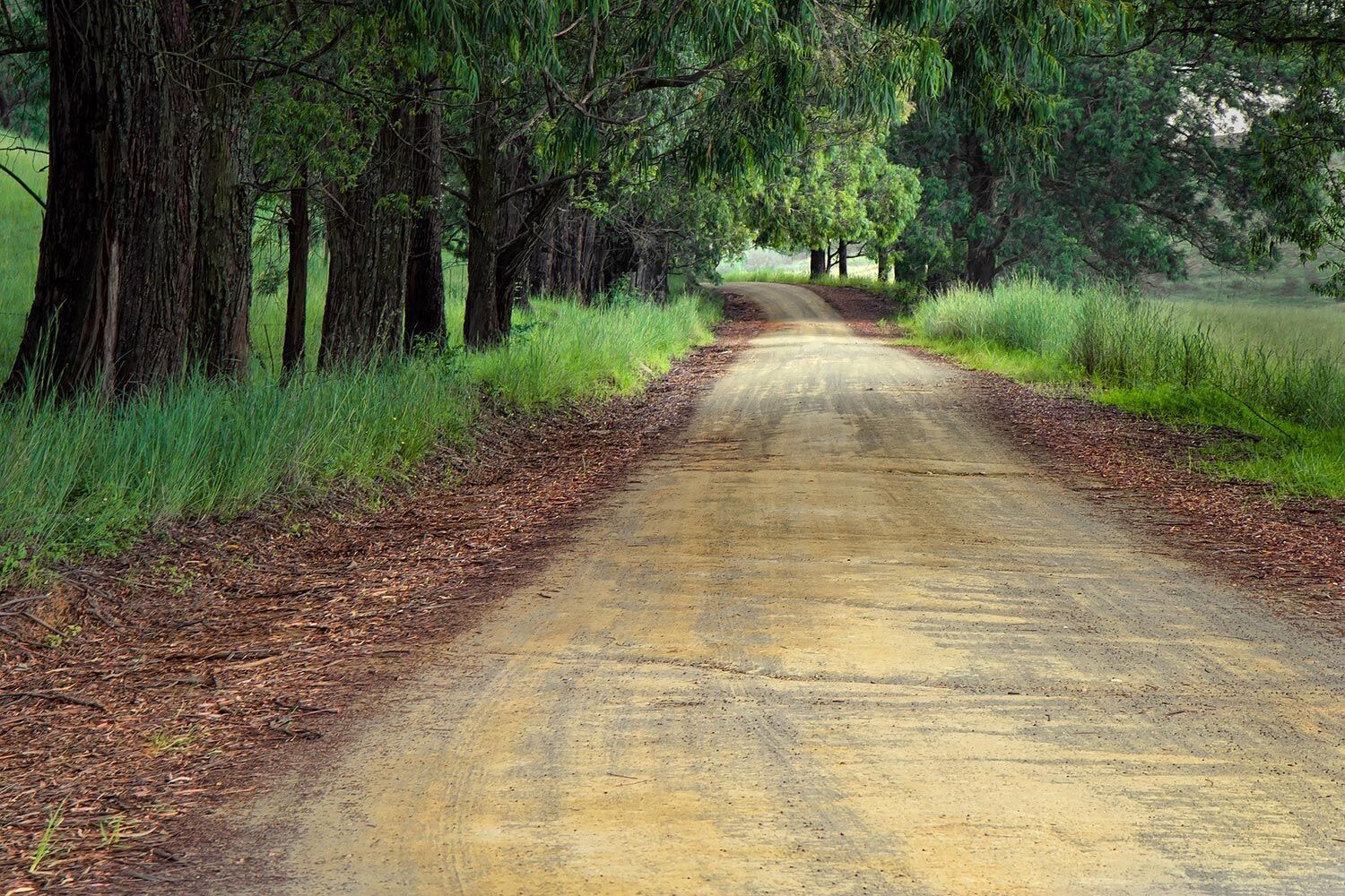 Le chemin du progrès