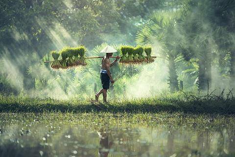 Partir en voyage au Cambodge