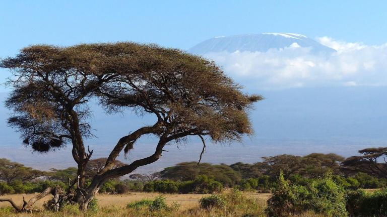 Voyage en Afrique pour l’authentique Kenya