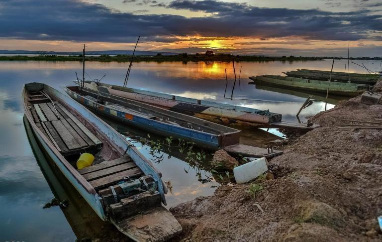 Vacances paradisiaques pour les amateurs de safari : la Tanzanie