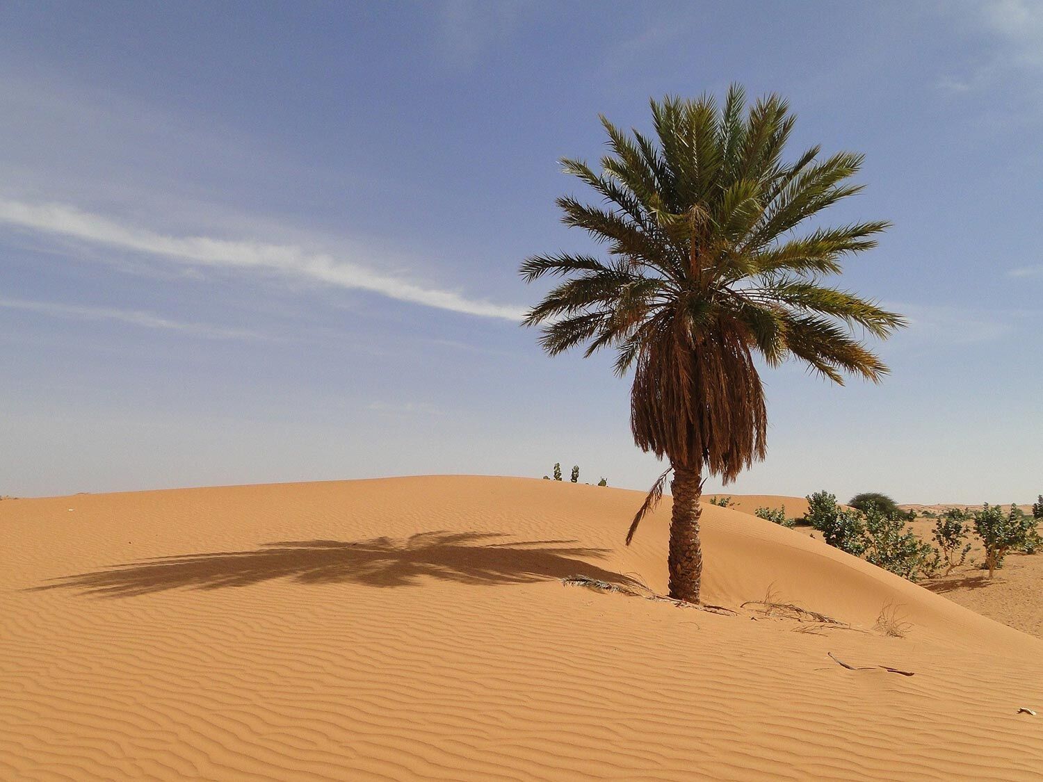 Désert Mauritanie