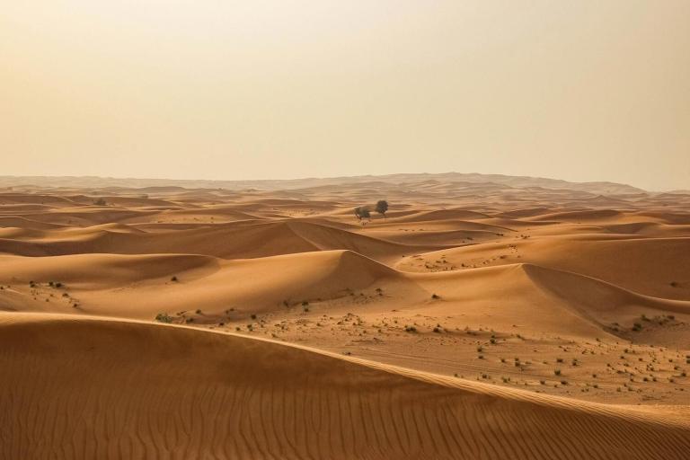 Embarquez pour un voyage en Mauritanie, la voie du désert vous réserve des surprises incroyables !