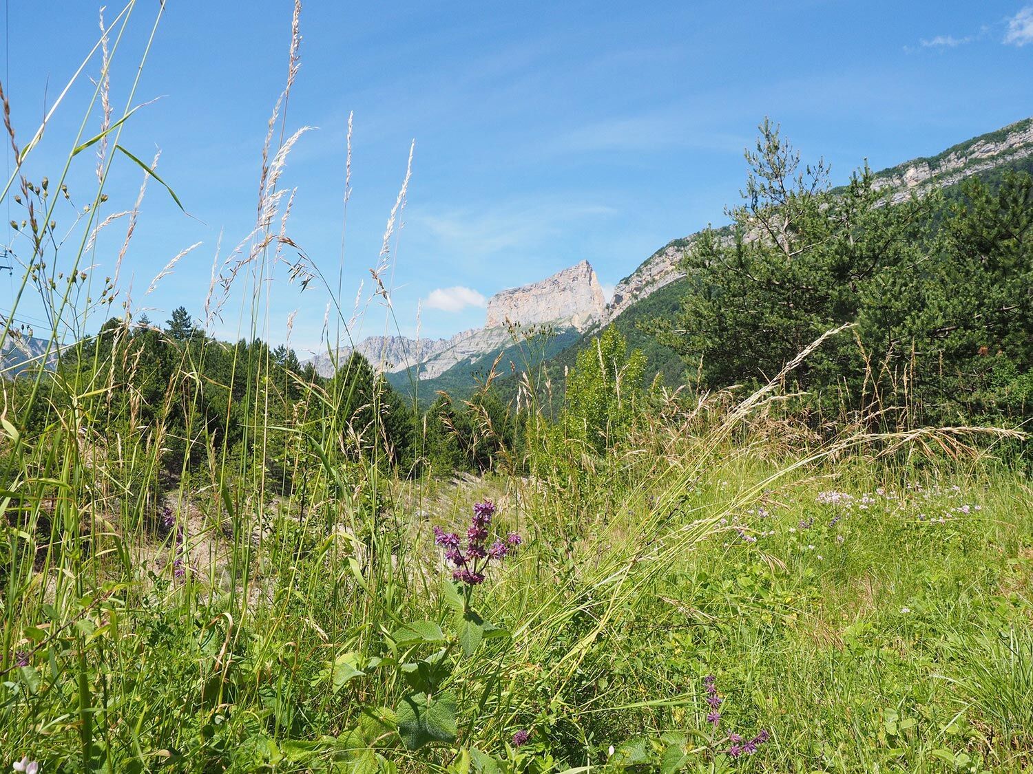 Tour du Mont Aiguille