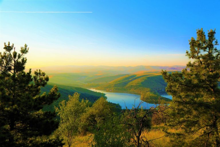 Climat et végétation de la Région Provence – Alpes – Côte d’Azur