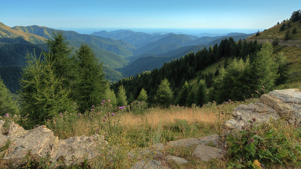 Forêts Pierres La Bollène Vésubie