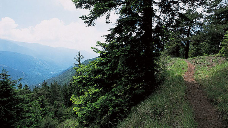 Randonnée de la Calmette par la baisse de Patronel