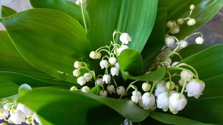 Bon plan pour partir en week end au mois de mai en 2019