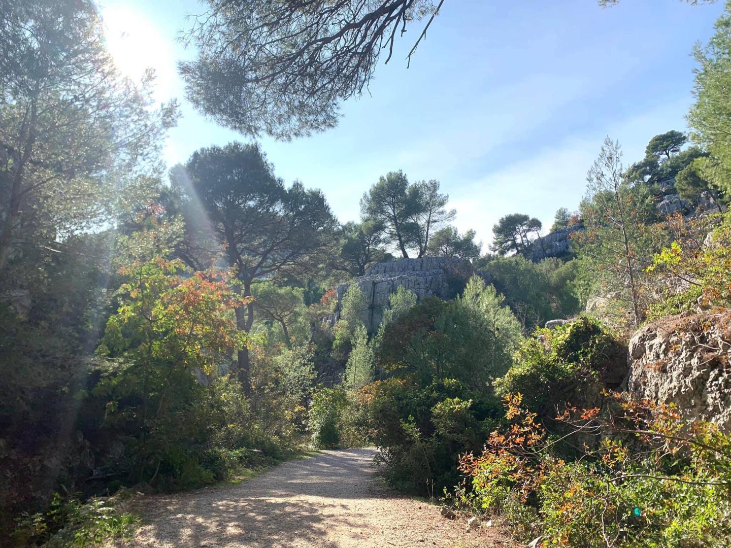 végétation calanque d’En-Vau