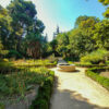 Jardin botanique royal de Madrid