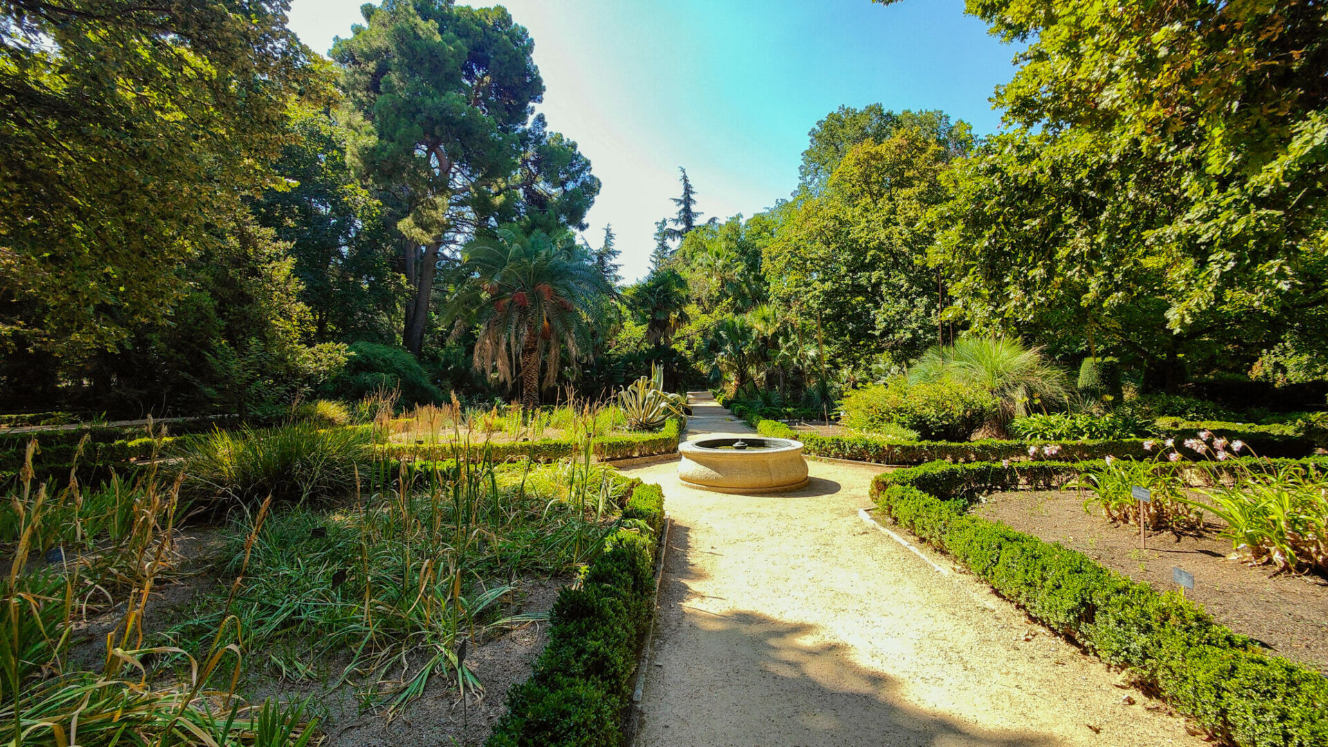 Jardin botanique royal de Madrid