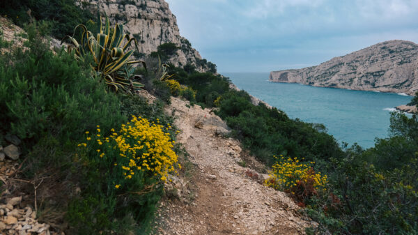 Calanque de Morgiou