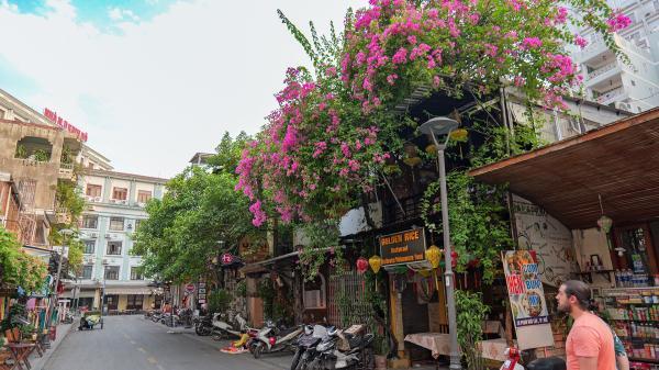 rue fleurie de la ville de Huế