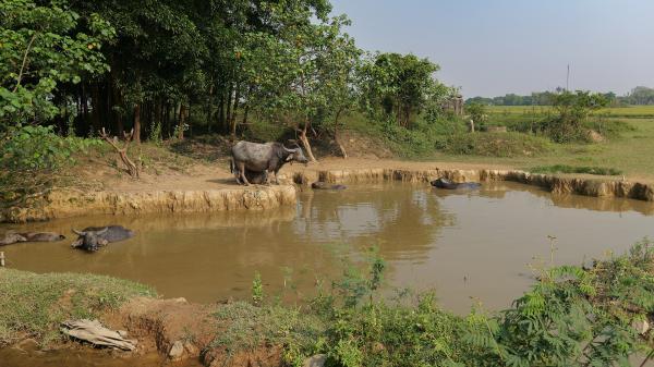 campagne autour de ville de Huế