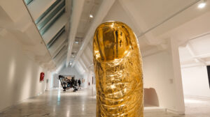 puce de césar au mac