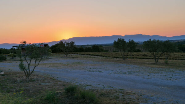 plateau de Valensole