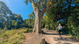 jogging par aznavour marseille