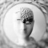 cerveau