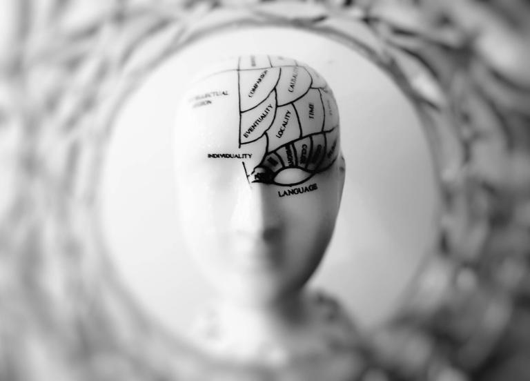 Le cerveau oublié, comportement et fonctionnement