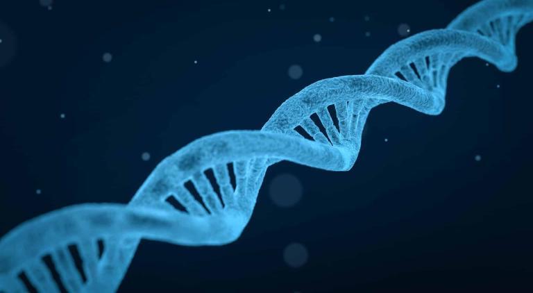 Connaissance de Soi et Génétique : Équilibre entre Nature et Technologie