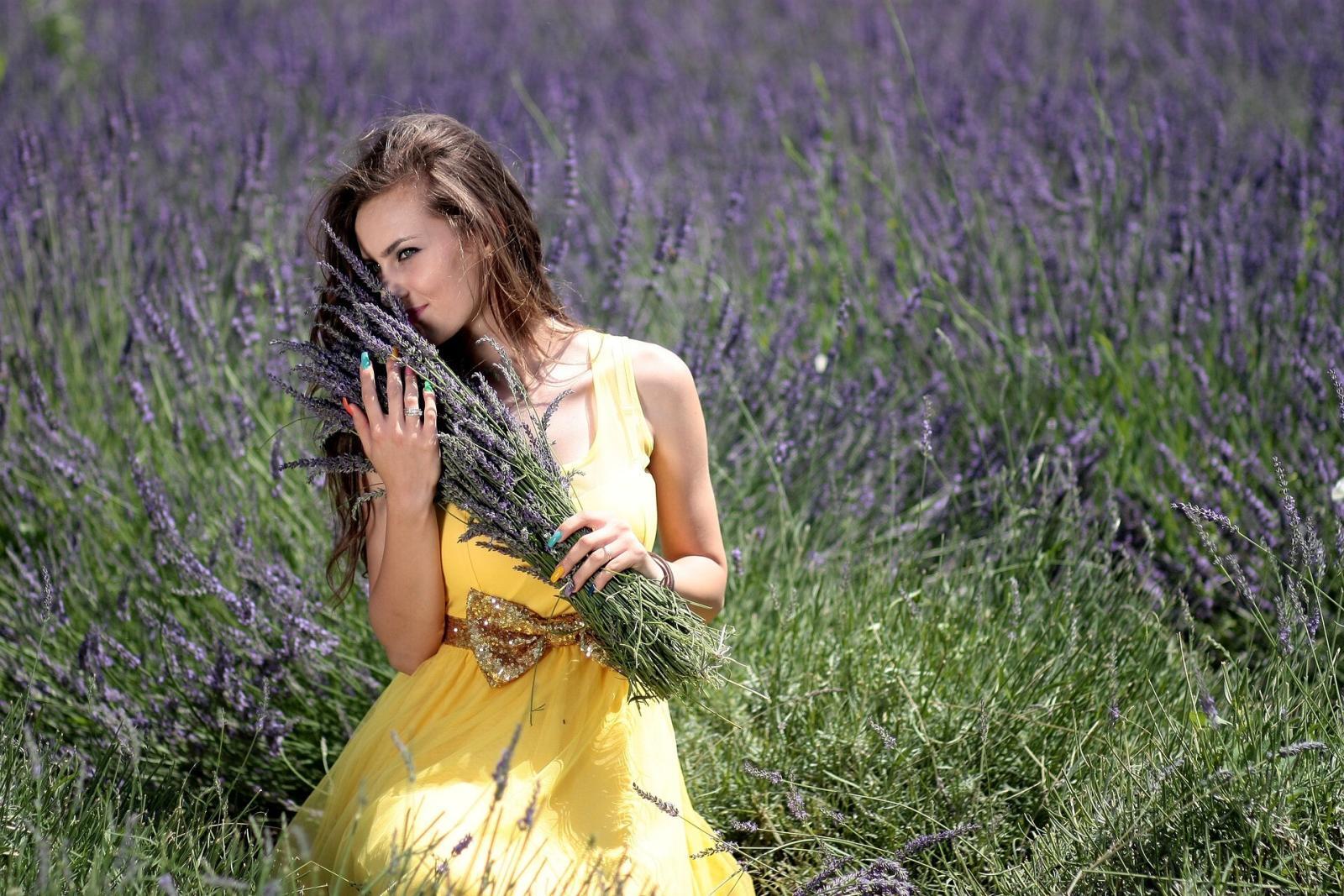 Climat et végétation en Provence
