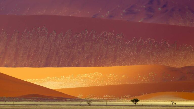 Partir en voyage à travers le parc de Naukluft en Namibie