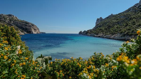 calanque de Sormiou printemps